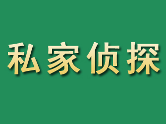 河西市私家正规侦探